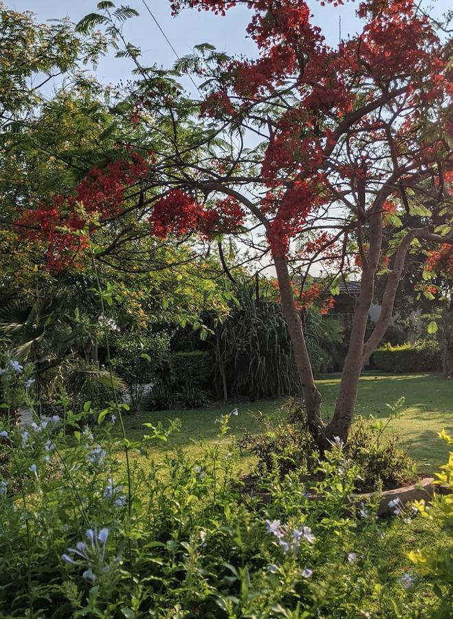 The Residence Villa Chobe Kasane Exteriör bild